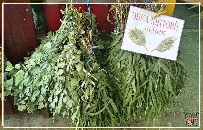 эвкалиптовый веник