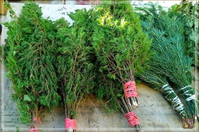 хвойные веники
