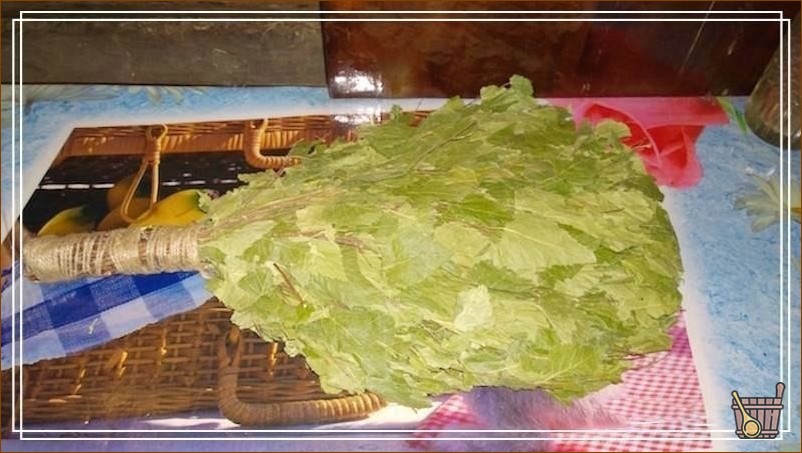 Как запарить веник для бани (пар, веник, баня) сухая метла