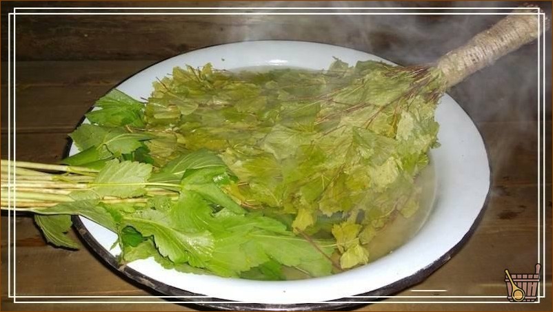 Как запарить веник для бани (пар, веник, баня) свежие веники в тазу