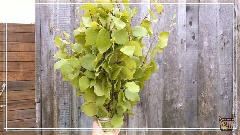 Как запарить веник для бани (пар, веник, баня) березовый_веник