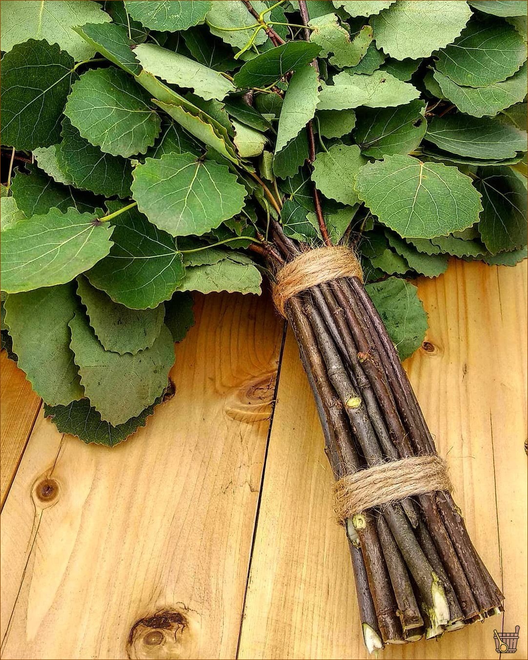 Осиновый веник для бани – не только от нечисти