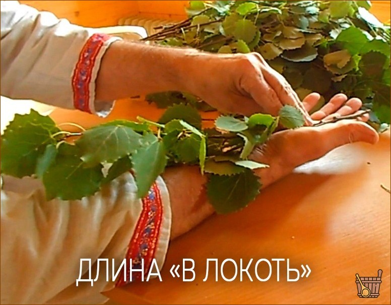 Осиновый веник для бани – не только от нечисти