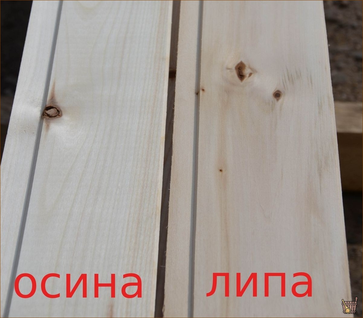 Отделка бани липой: особенности, плюсы и минусы