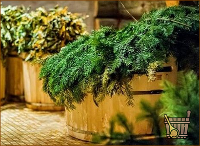 Еловый веник для бани: особенности стрижки, приготовления, хранения, запаривания и использования