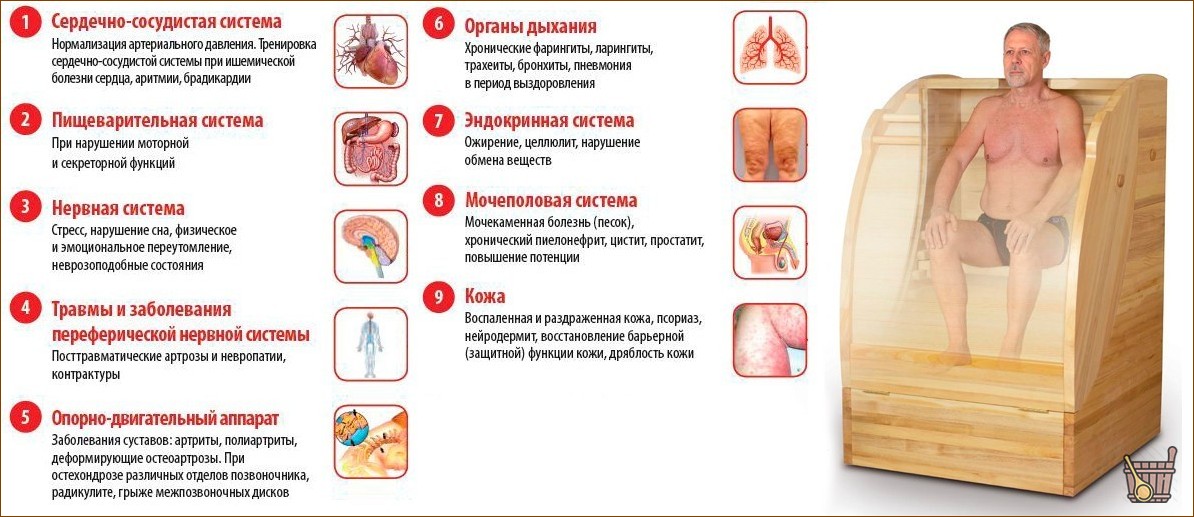 Кедровая бочка: в чем польза процедур и как правильно их принимать (кедровая бочка, бочка, польза, процедуры, принимать) Кедровая бочка: в чем польза процедур и как правильно их принимать