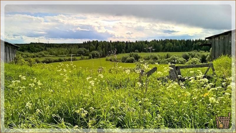 Дачная баня в Кеннице, Архангельская область, фото (дачная, баня, Кенница, Архангельск) поселок