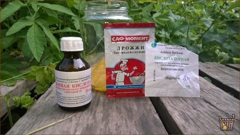 Уничтожаем муравьев в бане и доме