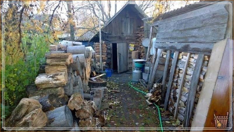 дрова возле бани