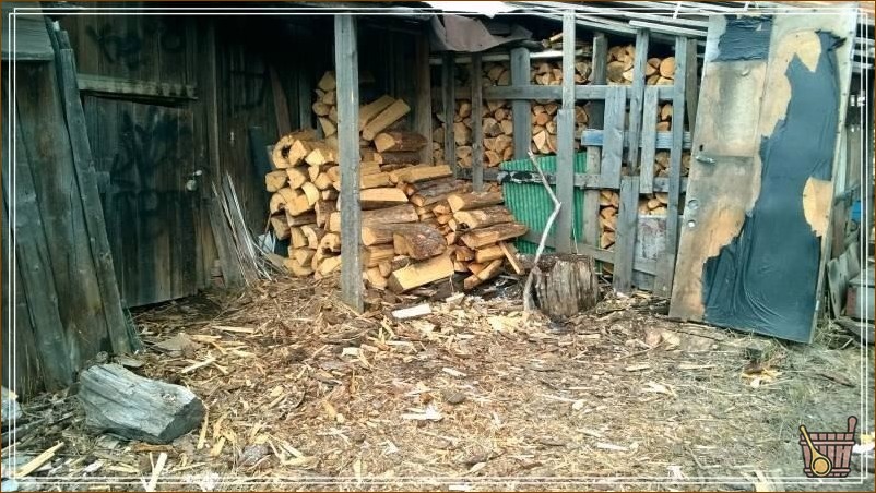 хвойные дрова на улице