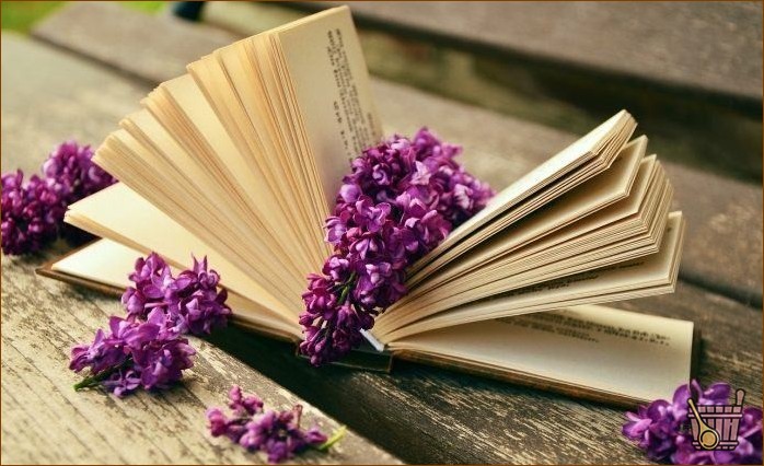 Лучшие книги о бане