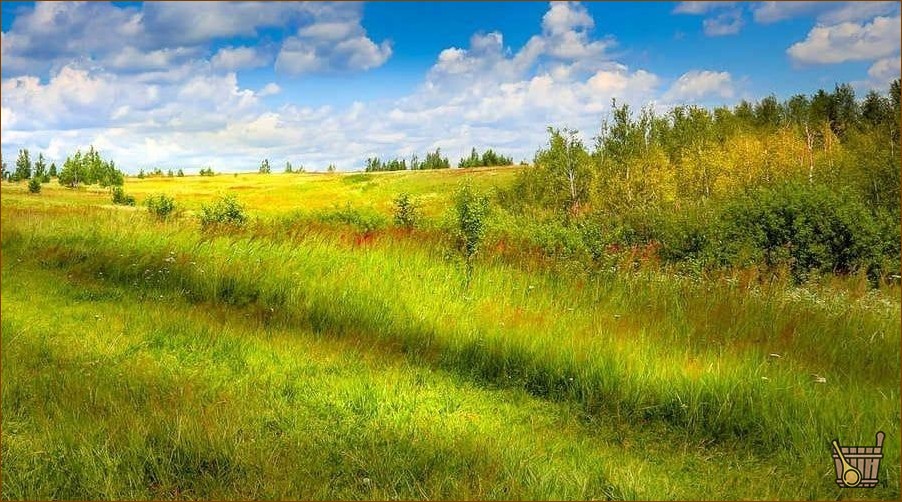 Маленькая баня из бруса 3х4 своими руками: подробная инструкция по строительству! (маленький, бан, бар, ручной, подробный, инструкция) Маленькая баня из бруса 3х4 своими руками: подробная инструкция по строительству!