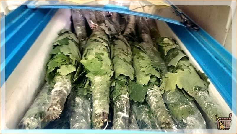 Встречайте замороженные веники для бани