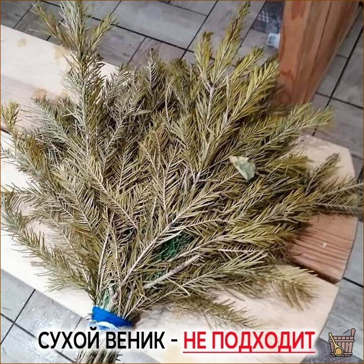 Еловый веник для бани – как заготовить, правильно распарить и использовать