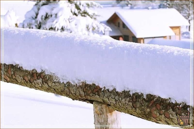 снег