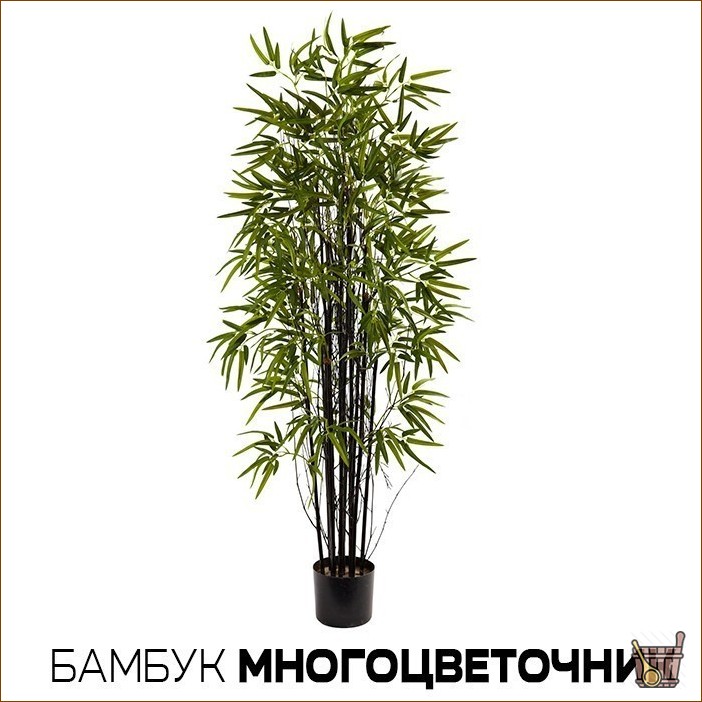 Бамбуковый веник для бани: сочетаем традиции (бамбук, веник, баня) Бамбуковый веник для бани: сочетаем традиции