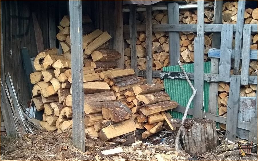 Какие дрова для бани лучше