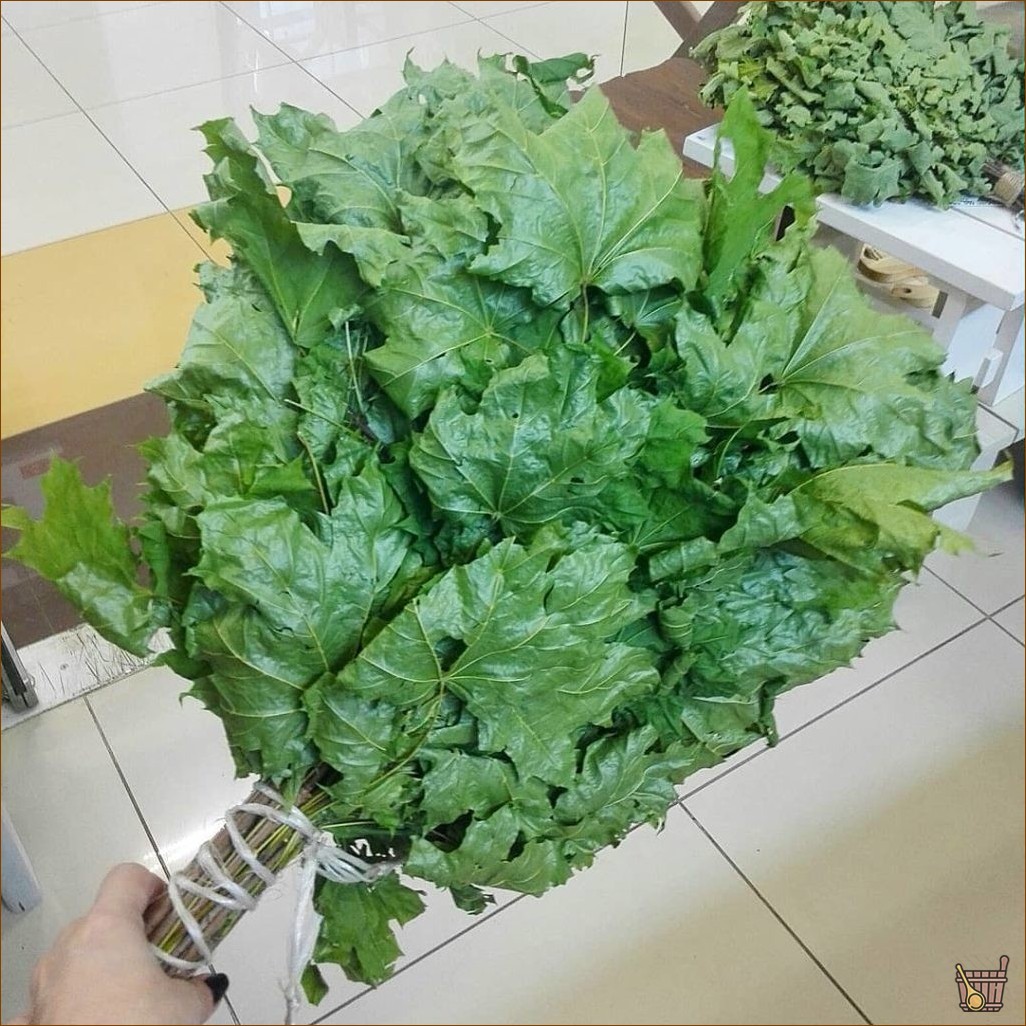 Кленовый веник для бани: нюансы заготовки и запаривания, польза и советы специалистов (клен, веник, бани, нюансы, заготовки) Кленовый веник для бани: нюансы приготовления и запаривания, польза и советы специалистов