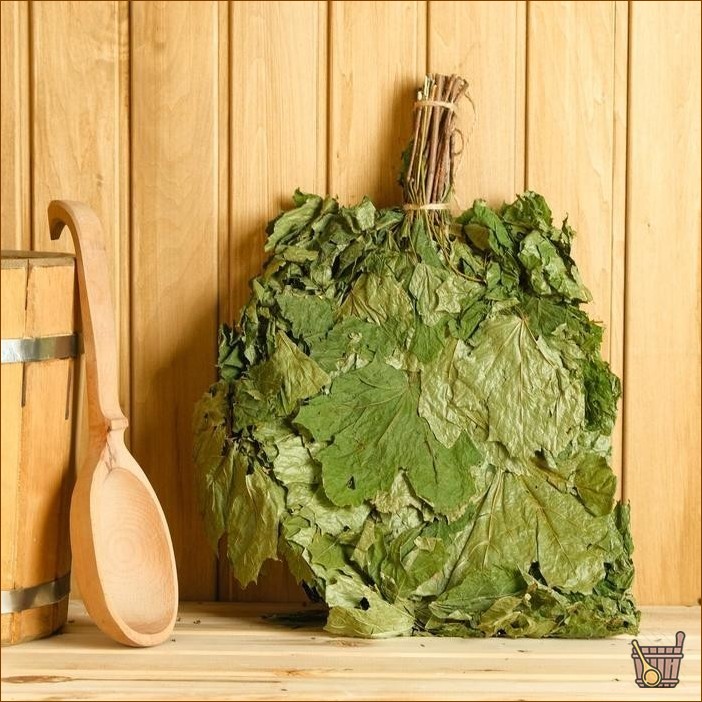 Кленовый веник для бани: нюансы заготовки и запаривания, польза и советы специалистов (клен, веник, бани, нюансы, заготовки) Кленовый веник для бани: нюансы приготовления и запаривания, польза и советы специалистов
