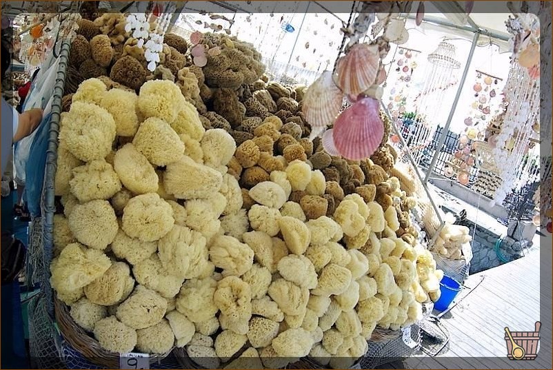 экстракция губкой
