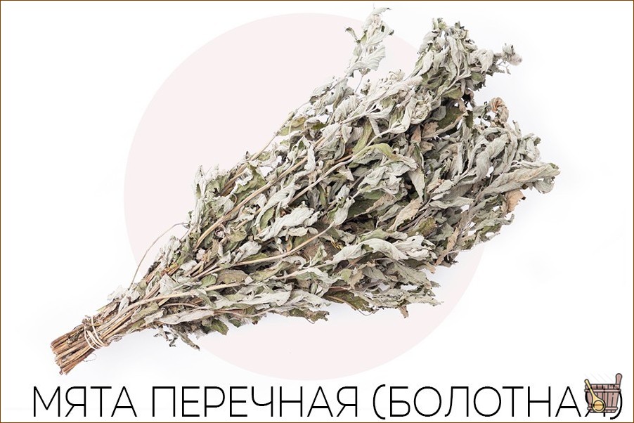 Травяные веники для бани: их состав и особенности, свойства, правила приготовления, запаривания и применения (травяные веники, бани, состав) Травяные веники для бани: их состав и особенности, свойства, правила приготовления, запаривания и применения