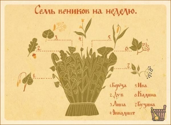 Веники на неделю