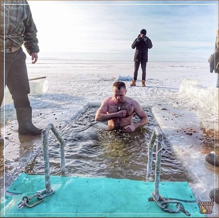морж в норе