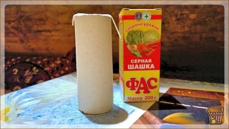 Фас