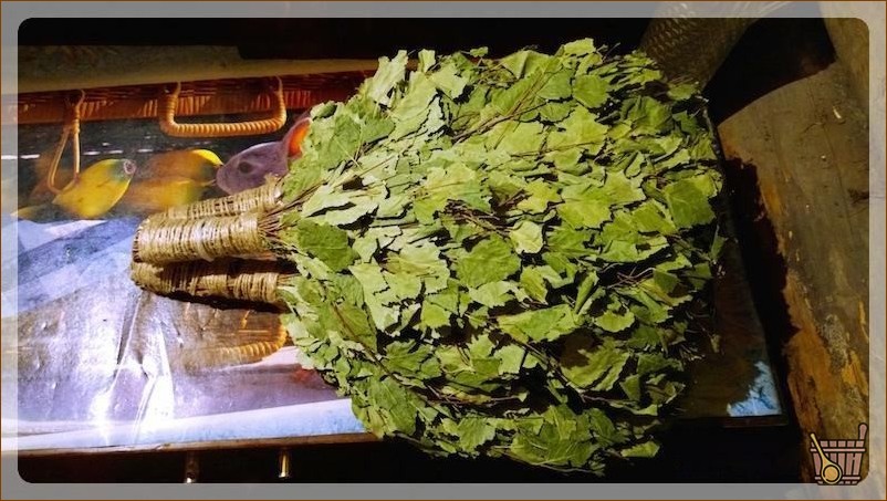 Особенности русской бани (особенность, русская, баня) Березовый веник