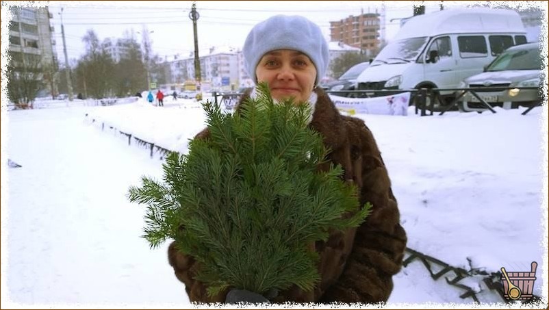 еловый веник на рынке