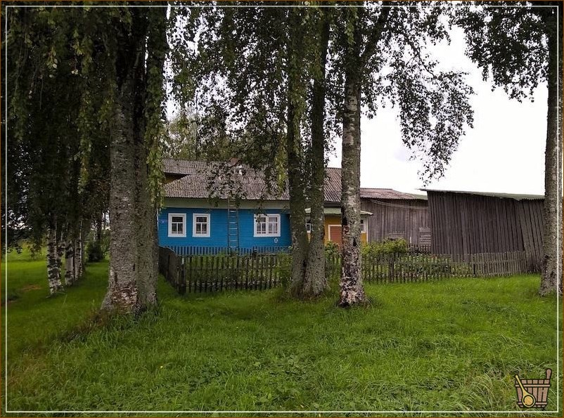 Дом в деревне