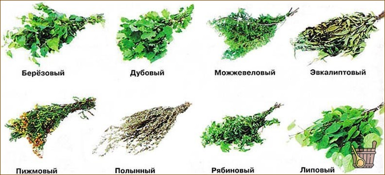 Банные веники: самый главный инструмент