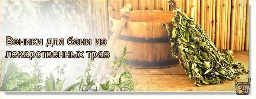 Банные веники: самый главный инструмент