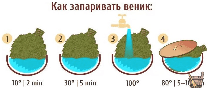 Парим веник: как избежать ошибок