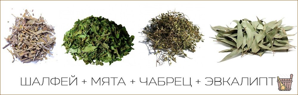 Паровые бани: правила выбора и подготовки растений для вкусного и полезного парения
