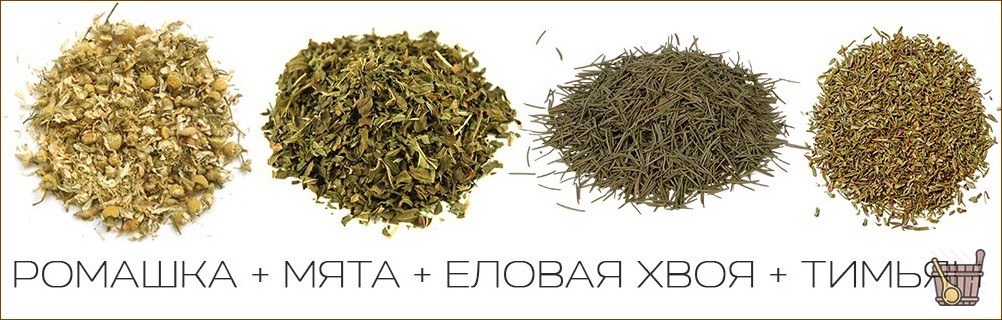 Паровые бани: правила выбора и подготовки растений для вкусного и полезного парения