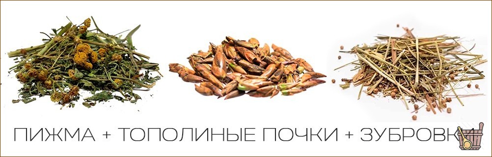 Паровые бани: правила выбора и подготовки растений для вкусного и полезного парения