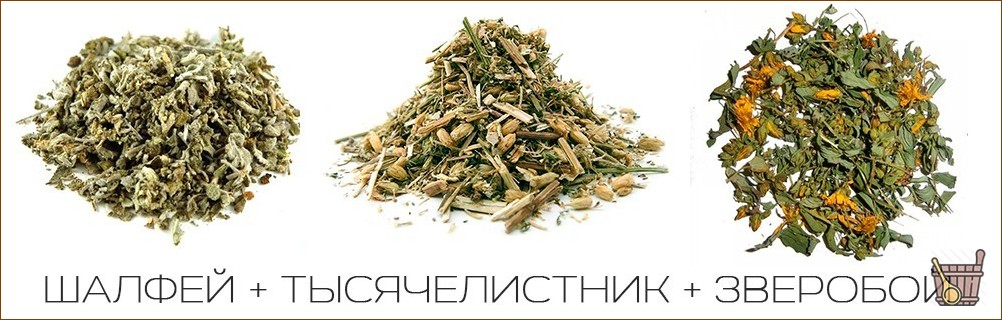Паровые бани: правила выбора и подготовки растений для вкусного и полезного парения