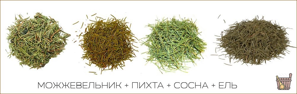 Паровые бани: правила выбора и подготовки растений для вкусного и полезного парения