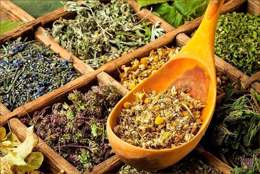 Паровые бани: правила выбора и подготовки растений для вкусного и полезного парения