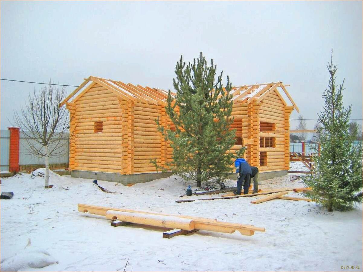 Строительство бани зимой особенности и советы