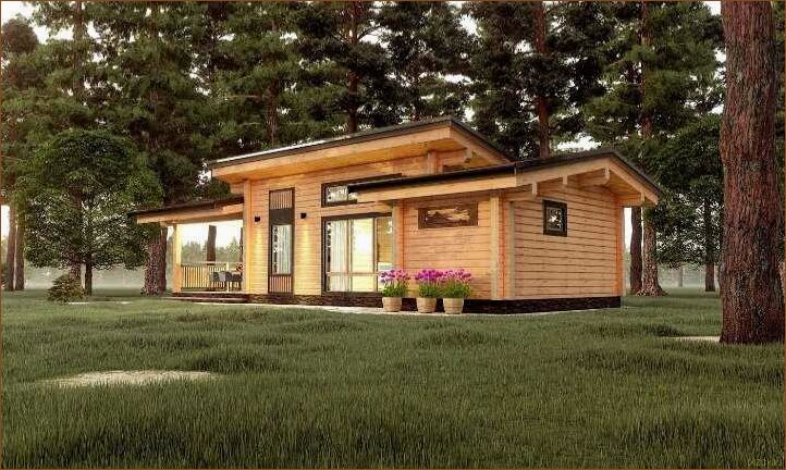 Строительство бани из бруса разных видов