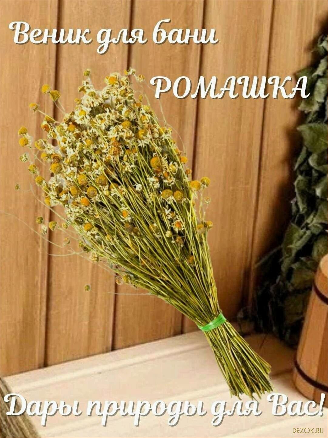 Польза и особенности веников из ромашки для бани