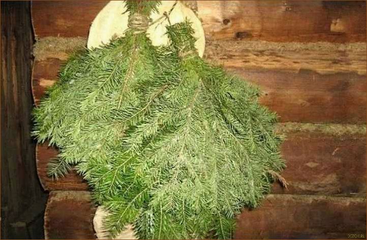 Польза елового веника для бани и его применение