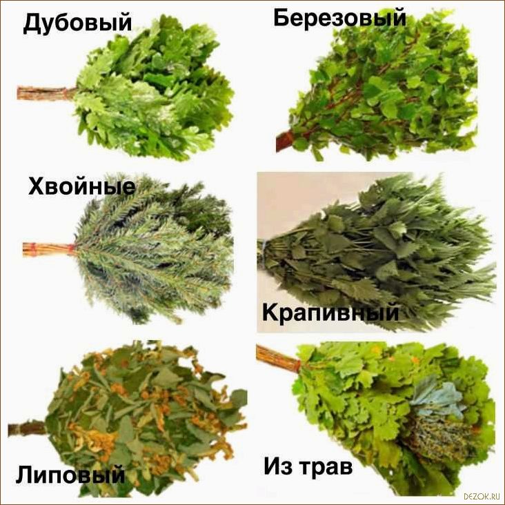 Рекомендации по выбору банного веника