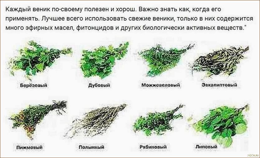 (вишневый, веник, бани, секреты, использования) Вишневый веник для бани — секреты использования и преимущества