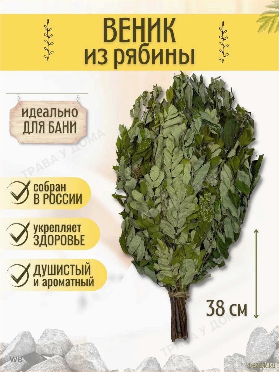 Польза рябинового веника для банных процедур